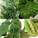 Boîte de plantes amicales pour animaux - 4 pièces - Ø12cm - ↕20-40cm – Image 3