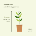 Boîte de plantes amicales pour animaux - 4 pièces - Ø12cm - ↕20-40cm – Image 4