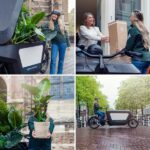 Yucca Elephantipes - Ø21 - ↨100cm – Image 7