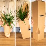 Boîte de plantes dépareillées - Ø12cm - 12x – Image 4