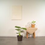 Alocasia Macrorrhiza - Ø19cm - ↕70cm + Panier Igmar – Image 2