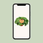 Pilea Peperomioides - Ø15cm - ↕30cm – Image 4