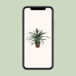 Ananas Mi Amigo - Ø12cm - ↕40cm – Image 4