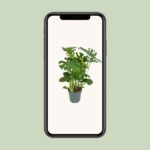 Monster Deliciosa - Ø30cm - ↕100cm – Image 4